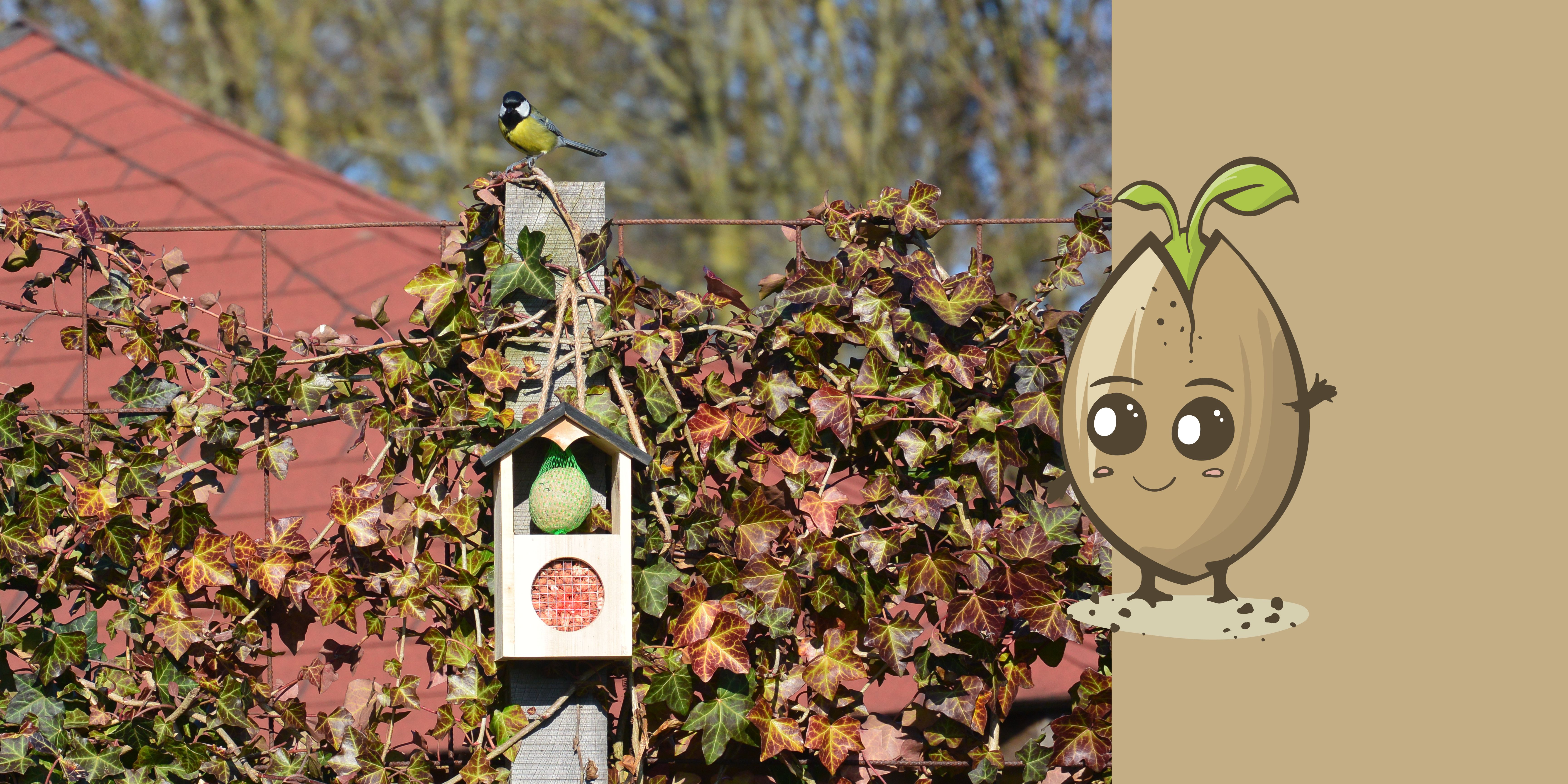 Nieuw: Vogelvoerhuisjes van SeeddeeS®